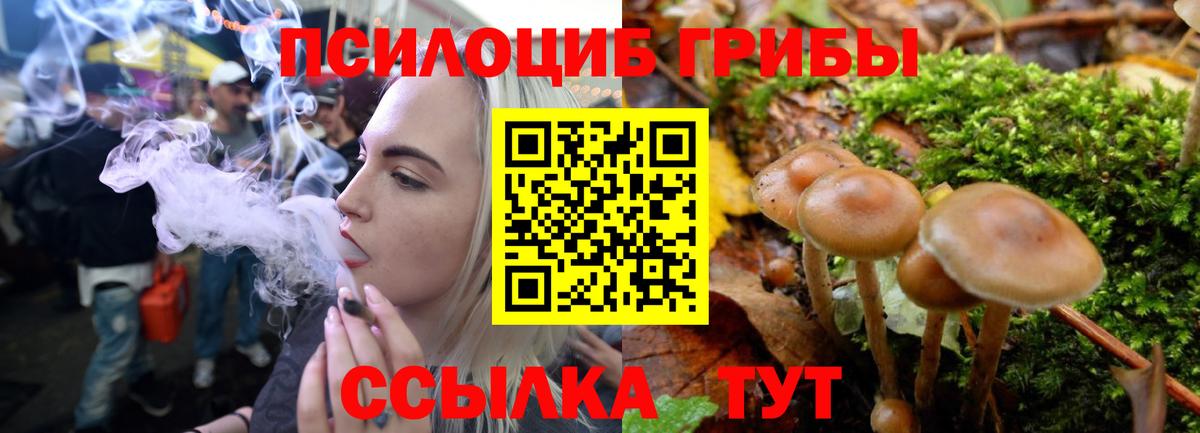 Чита  Псилоцибиновые грибы Magic Shrooms  Вход с VPN  Галлюциногенные грибы Cubensis 